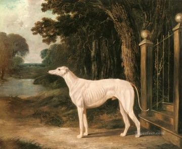 ジョン・フレデリック・ヘリング・シニア Painting - ヴァンドー ホワイト グレイハウンド 2 ニシン シニア ジョン フレデリック 馬